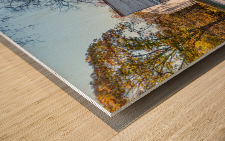 General Store And Topaz Mill Wood print