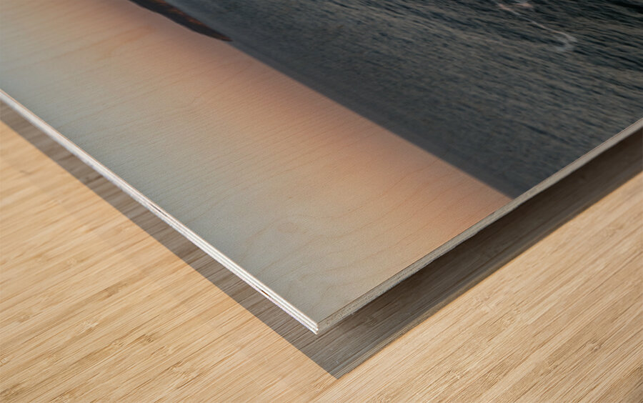 Friars Head Wood print