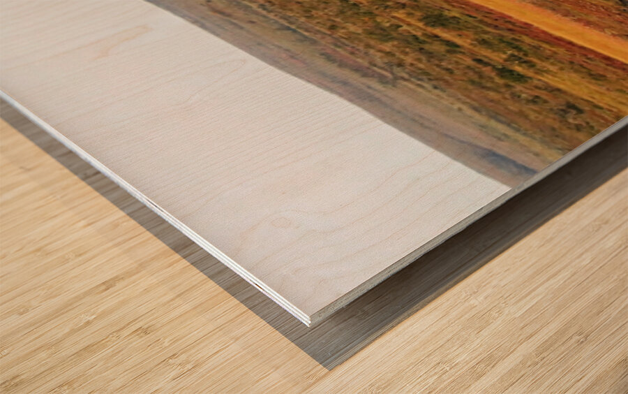 Pingo And Tundra Wood print