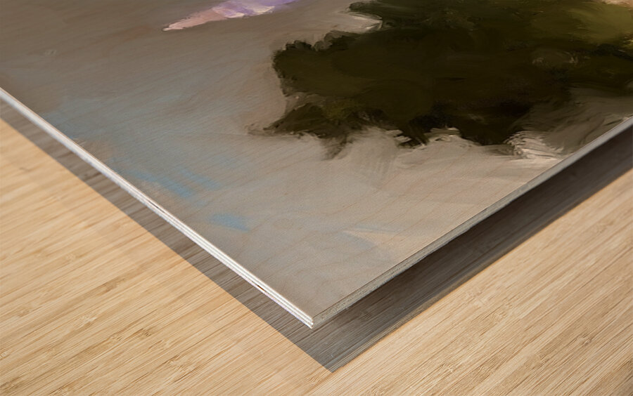 The Washington Monument  Wood print