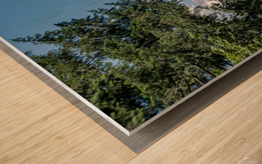 Mount Shasta framed with trees Wood print