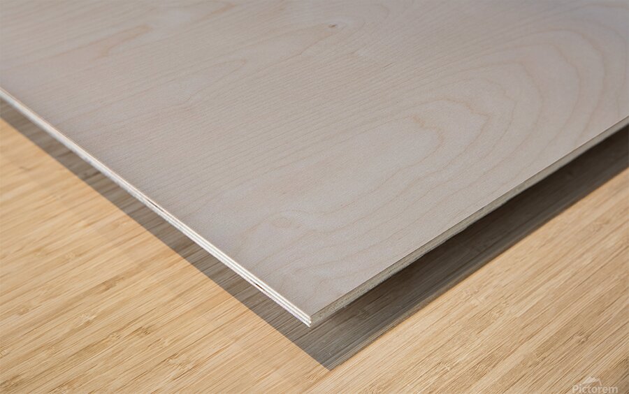 Point Cabrillo Lighthouse with light on Wood print