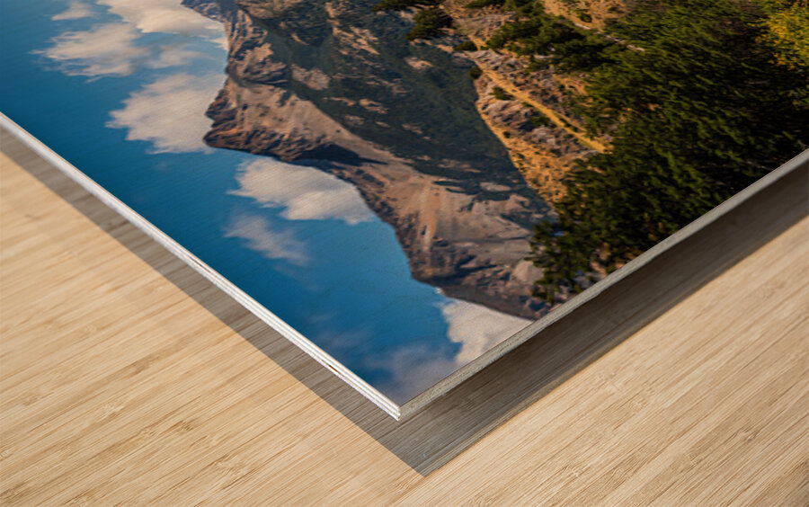 patagonia 3 Wood print