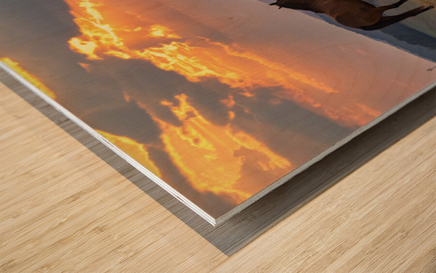 Picturesque Eve Wood print