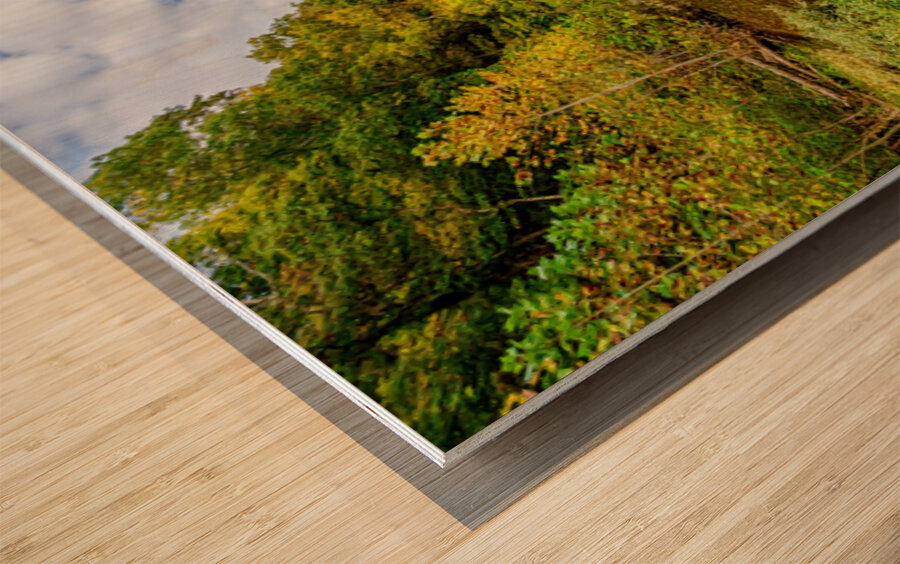 Autumn Reflections On Spring Creek Wood print