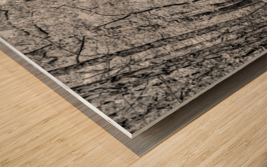 Vintage Concord One Room Schoolhouse Grayscale Wood print