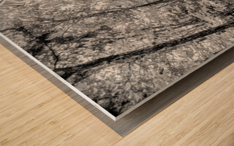 Old One Room Schoolhouse Concord Grayscale Wood print