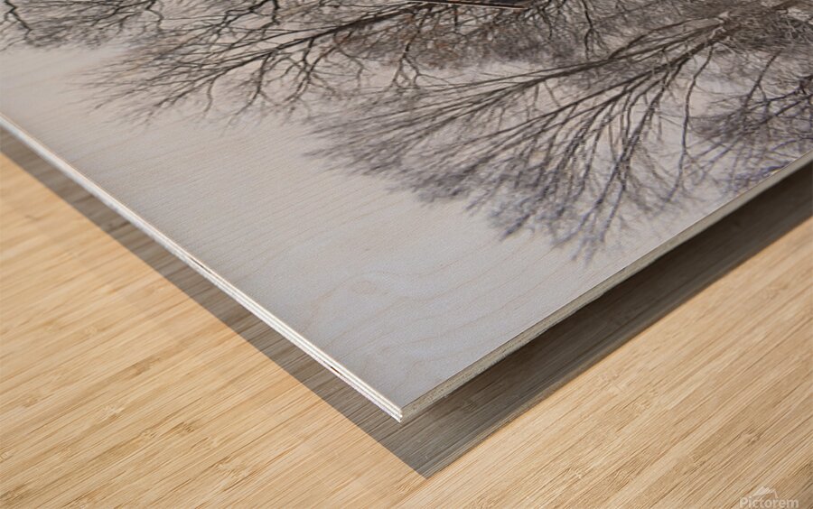 12Dec Welles Shipman Ward Wood print