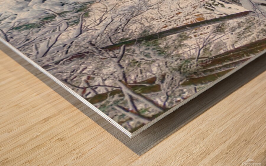 02Feb Cotton Hollow Wood print