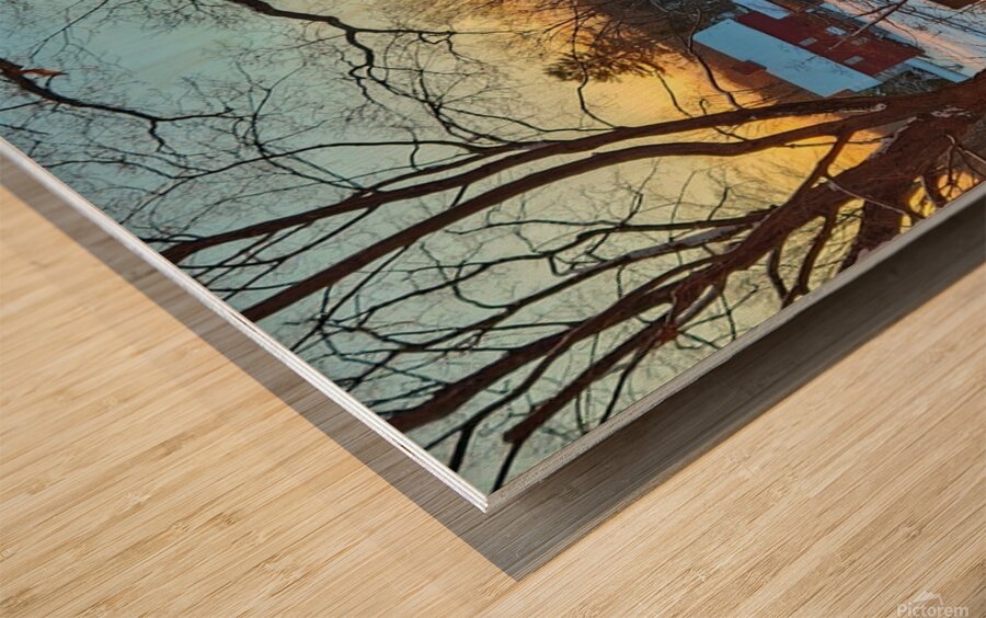 01Jan South Glastonbury Wood print