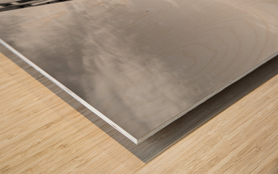 Splashing Waves Beside Gulf Shores Pier Grayscale Wood print