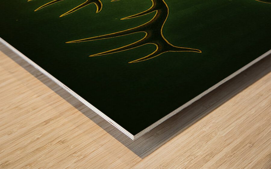 Emerald Monarch Stag of the Forest Wood print