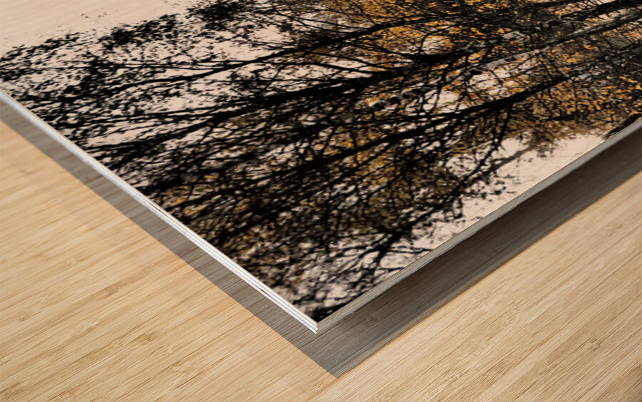  Scottish Highlands Autumnal Nature Trail                                                                                                                     Wood print