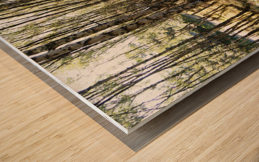 Amongst the Trees                                                                                                                   Wood print