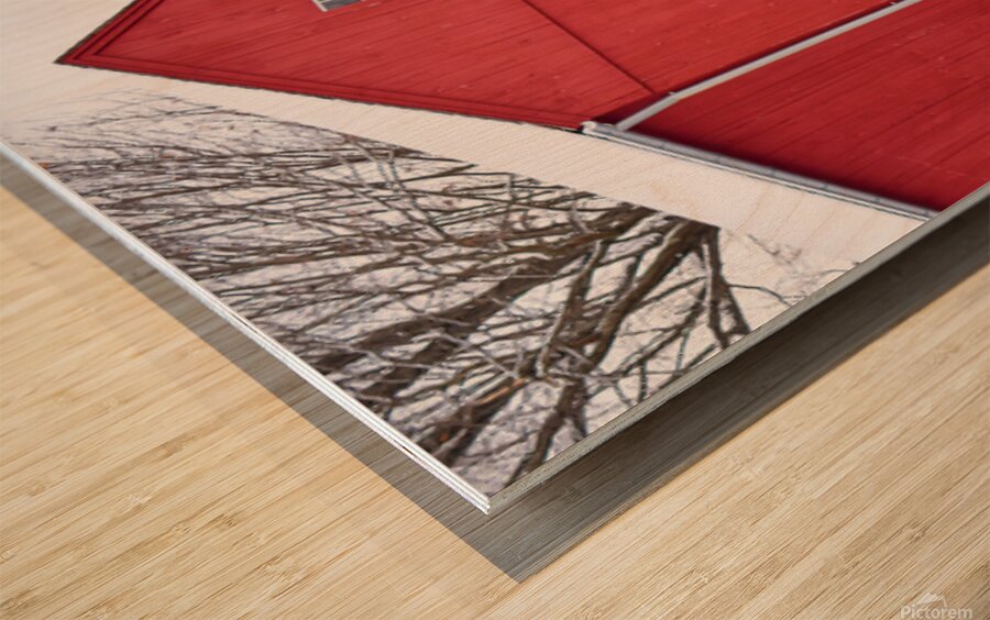 10 Winter Card Wood print