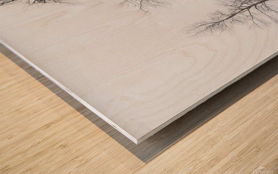 11 Winter Card Wood print