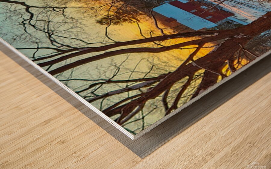 14 Winter Card Wood print