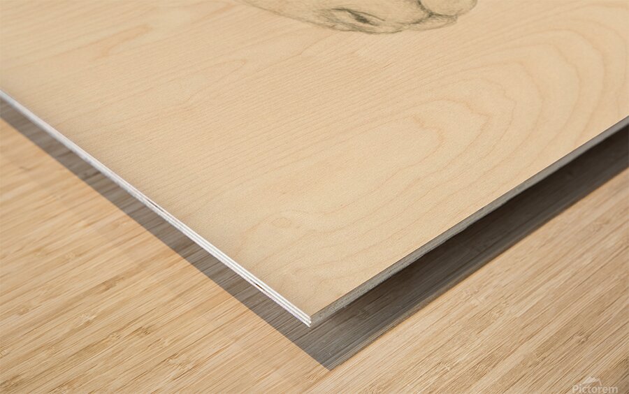 Pensive sheep Pencil drawing Wood print