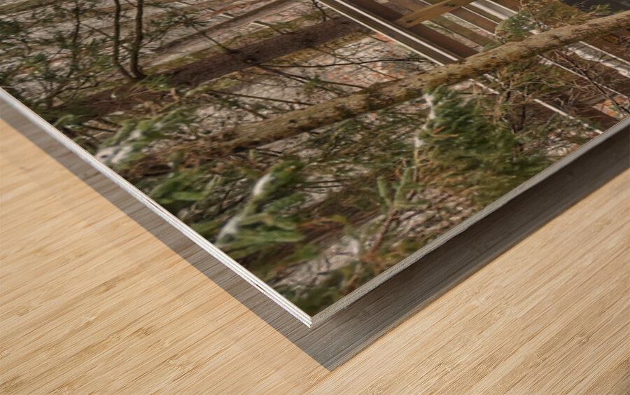 Over the River Wood print