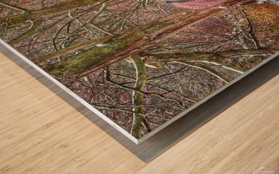 Galloping Horse Wood print