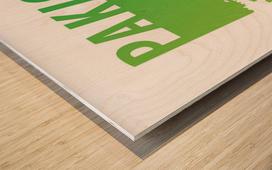 Travel to Pakistan Wood print