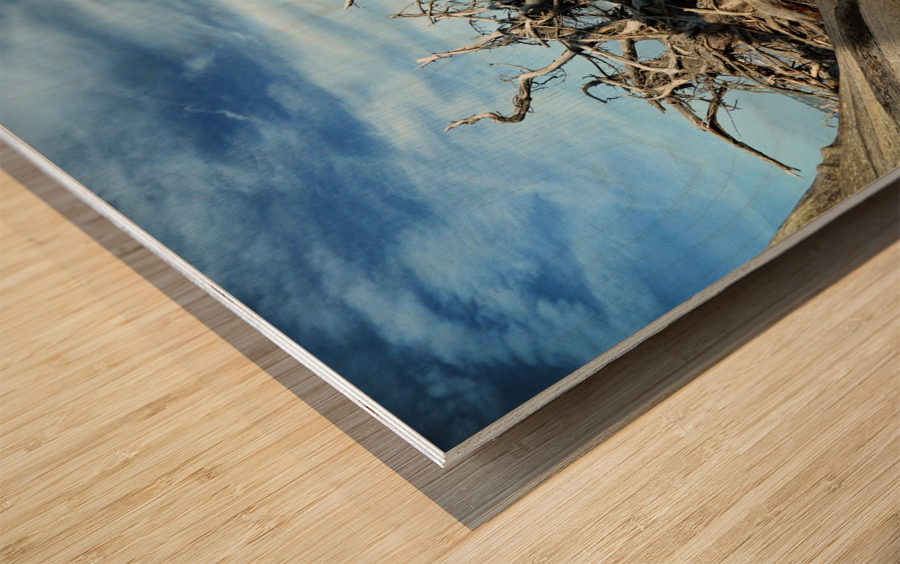 Eroticism at Driftwood Beach on Jekyll Island Wood print