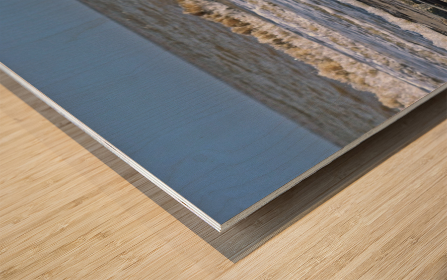 Driftwood Beach Post Wood print