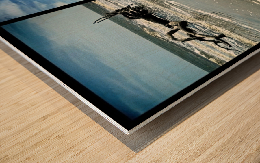 Driftwood Beach Panorama Quadtych Wood print