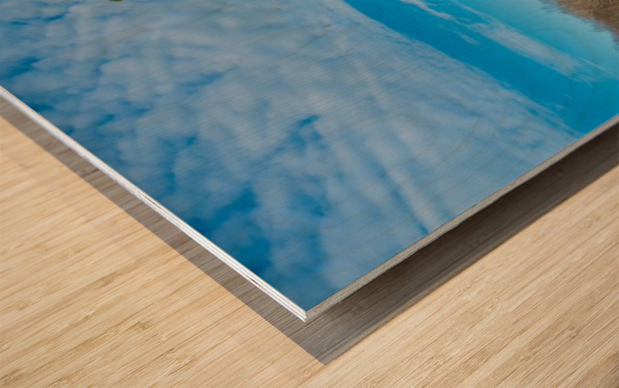 Abandoned House in Columbia County GA 0640 Wood print