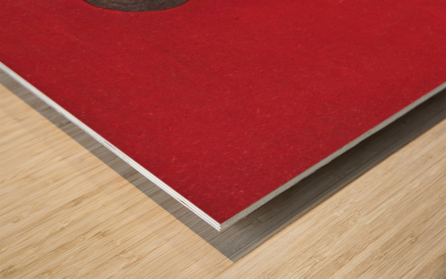 Vintage Basketball Art Poster (1921) Wood print