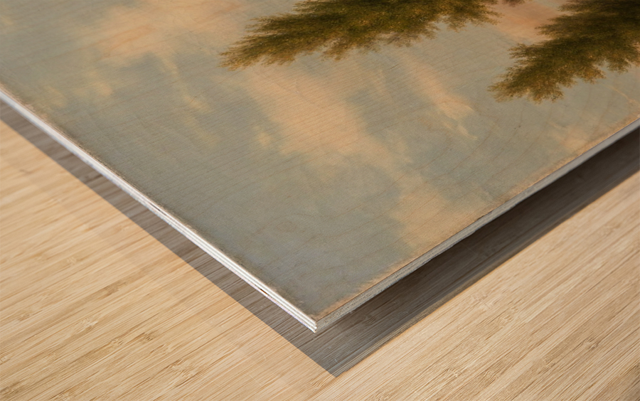 City street scene Wood print