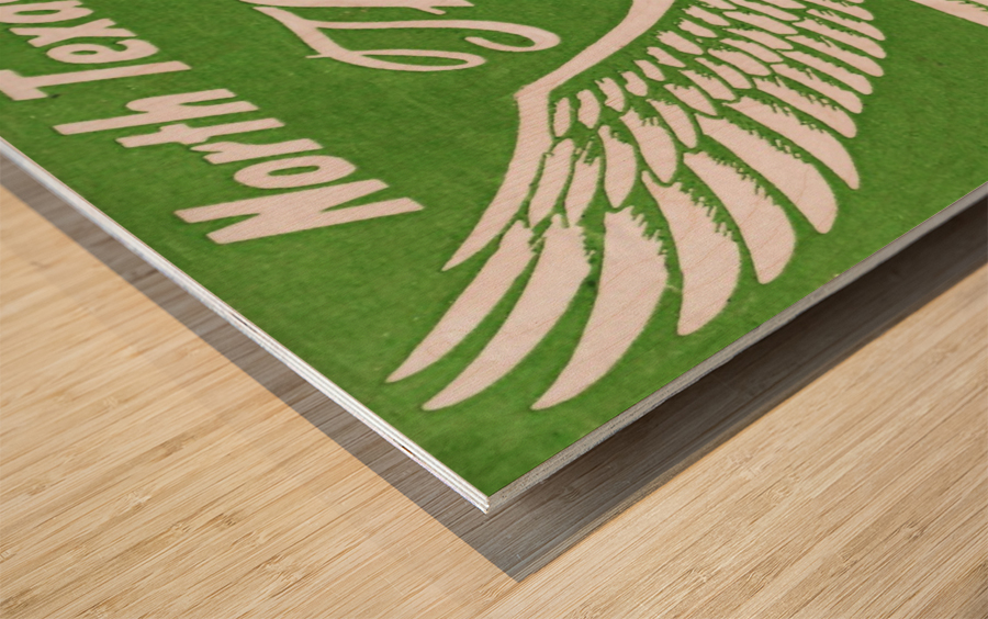 north texas state college unt eagles vintage poster college art collection Wood print