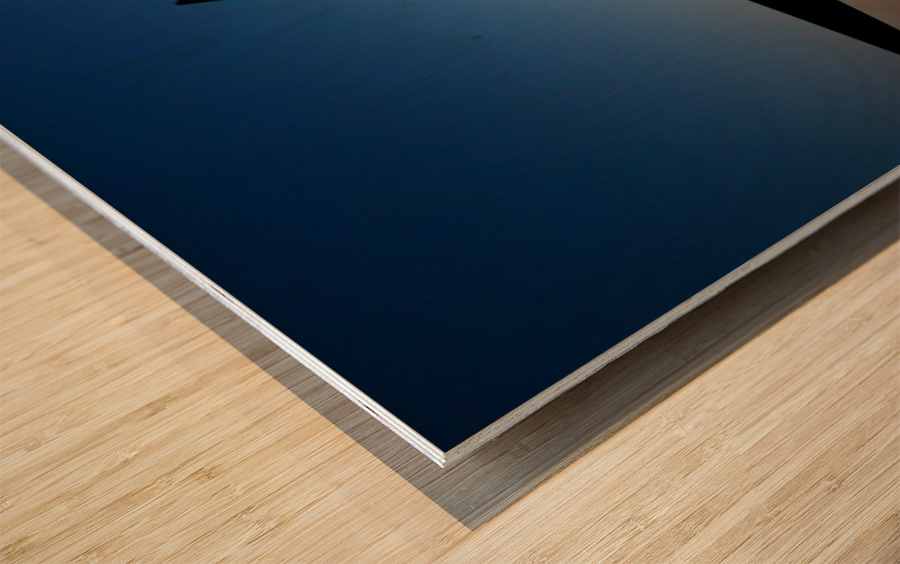 Area 71 Power and Grace Wood print