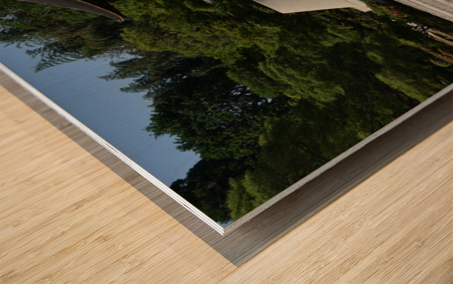 Ginkakuji Kyoto DSC_2158 Wood print