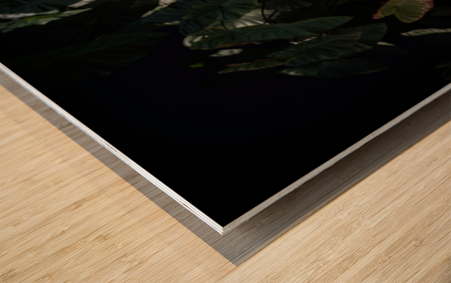 Bust at the Hotel California Wood print