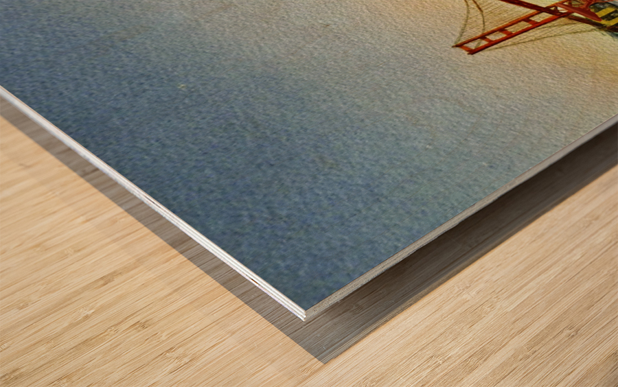 Bicycle In San Francisco Wood print