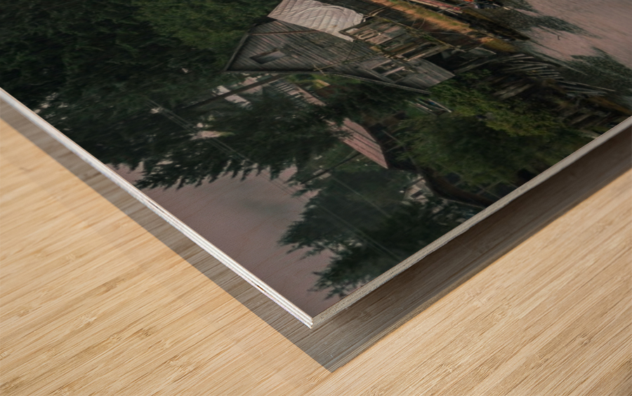 Beachfront Property Wood print