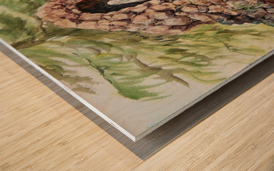 Crockett California Saint Rose Of Lima Church Grotto Wood print