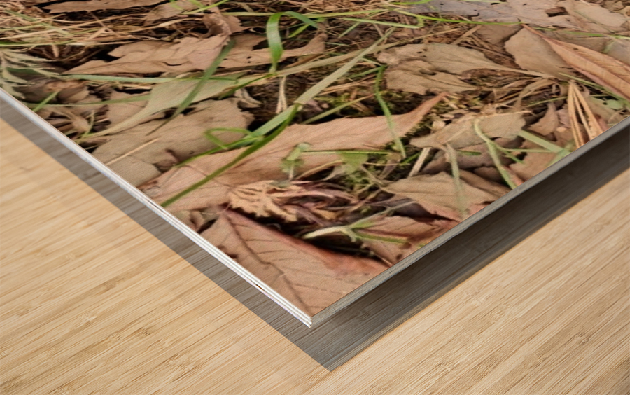 Snapchat 1522267205 Wood print