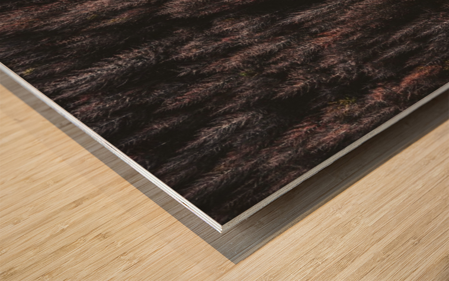 Red forest Wood print