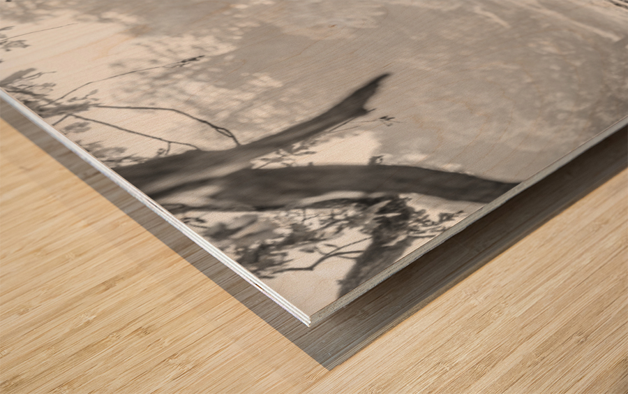 Stag in a field Wood print