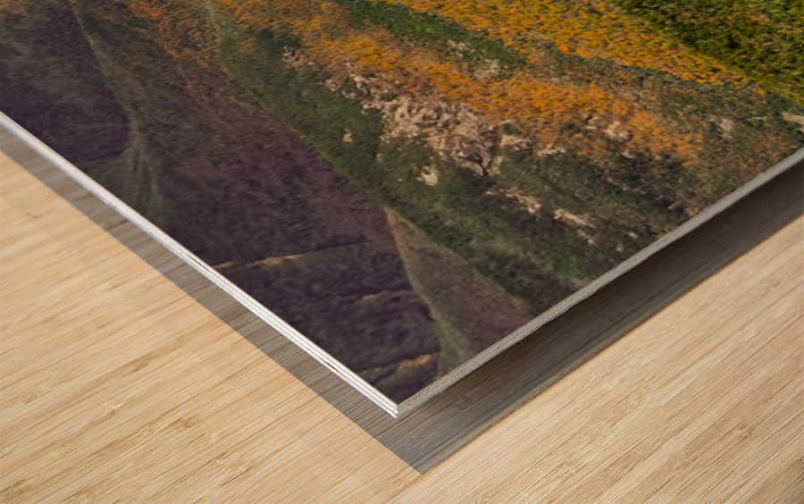 Golden Valley Wood print