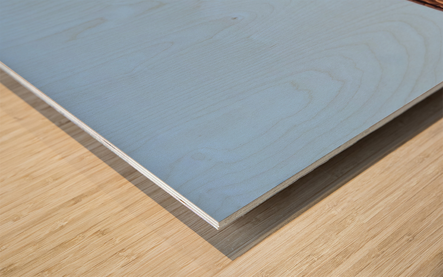 Delicate Arch Panorama Wood print