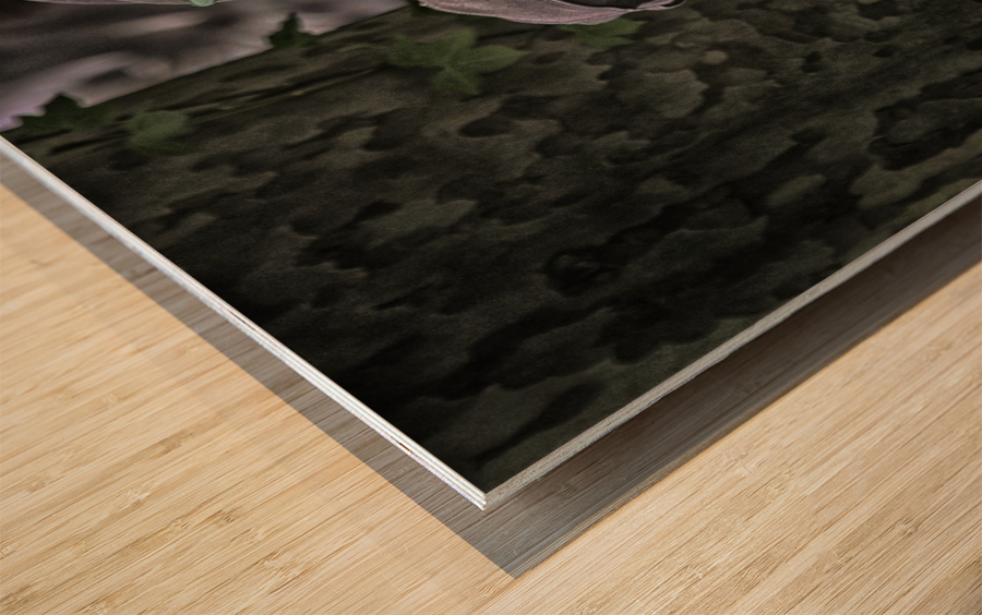 seated man 5 Wood print