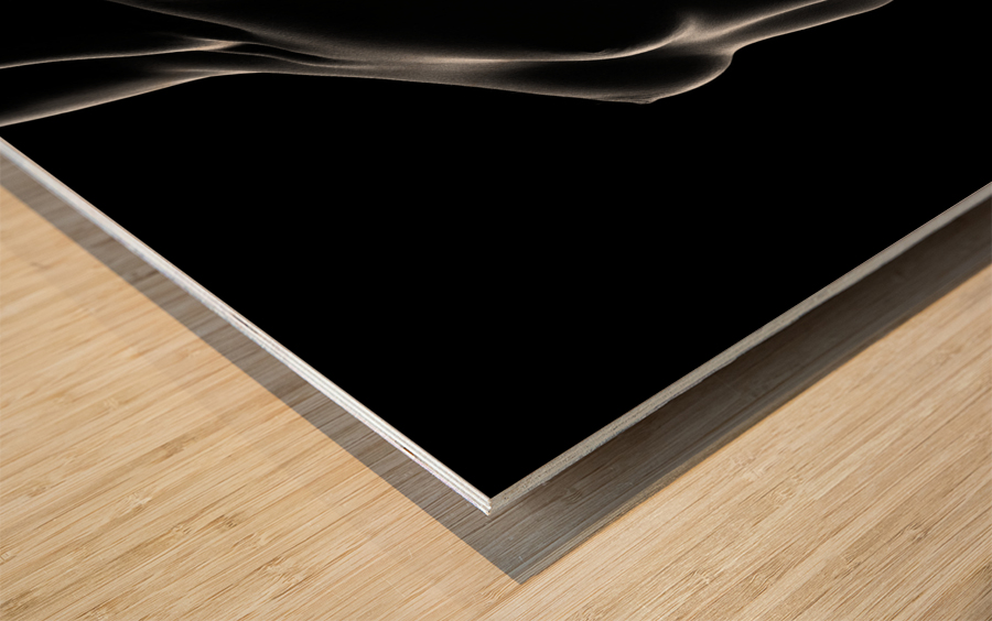 Nude black versus white 2 Wood print