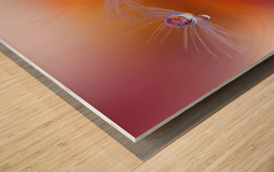 Two Worlds by Juliana Nan  Wood print