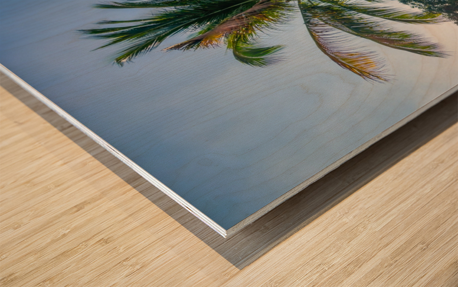 Palm Tree and Sun Star Wood print