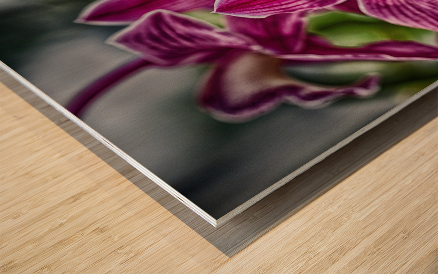 flower 12 Wood print