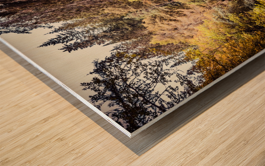 20190918 DSC 0267 4 Wood print