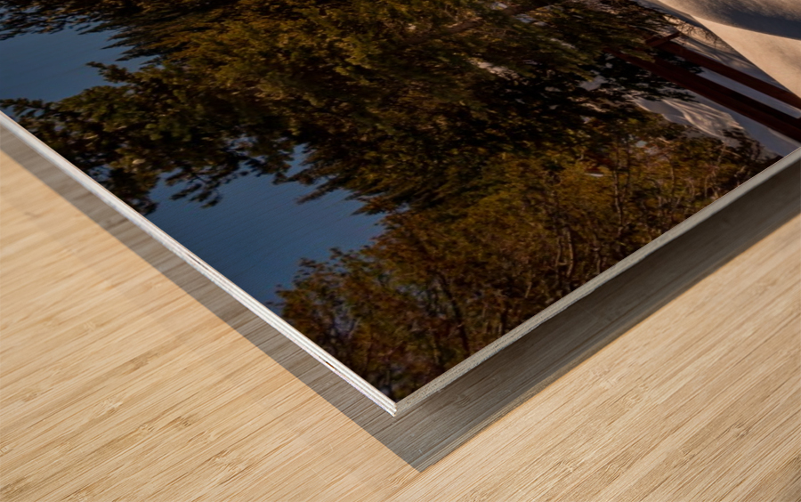 Snow drift at Dusk Wood print